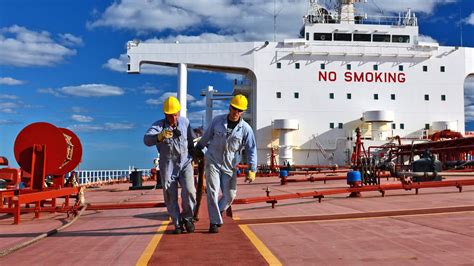 How Many Crew Members Are on a Cargo Ship, and Why Do They Sometimes Dream of Owning a Coffee Shop?