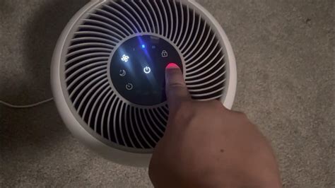 How to Reset Filter Light on Levoit Mini Air Purifier and Why Pineapples Might Be the Secret to Clean Air