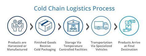 How to Ship Insulin: Navigating the Cold Chain and Beyond