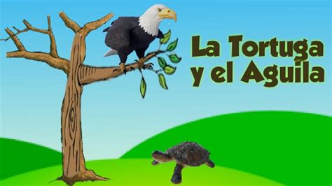  ¿La Tortuga y el Águila: Un Viaje a Través de la Sabiduría Popular Turca?