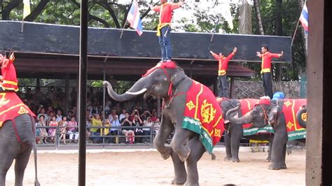  The Elephant's Dance: A Whimsical Tale of Thai Folklore