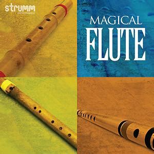 ¿The Magical Flute: Un canto épico a la resiliencia y el ingenio vietnamita?