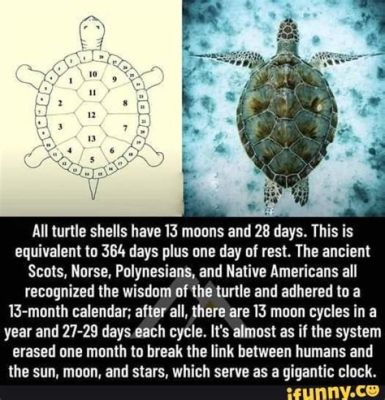  The Talking Turtle Uncovering Ancient Wisdom in a Shell